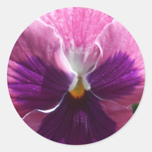 Sticker Rond Bonheur (Devant)