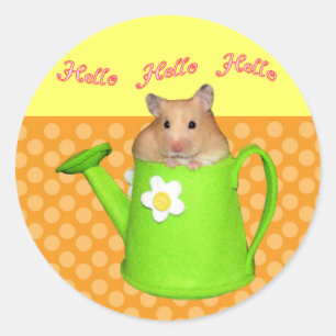 Sticker Rond Bonjour hello hamster