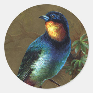 Sticker Rond Bonne année tropicale d'oiseau