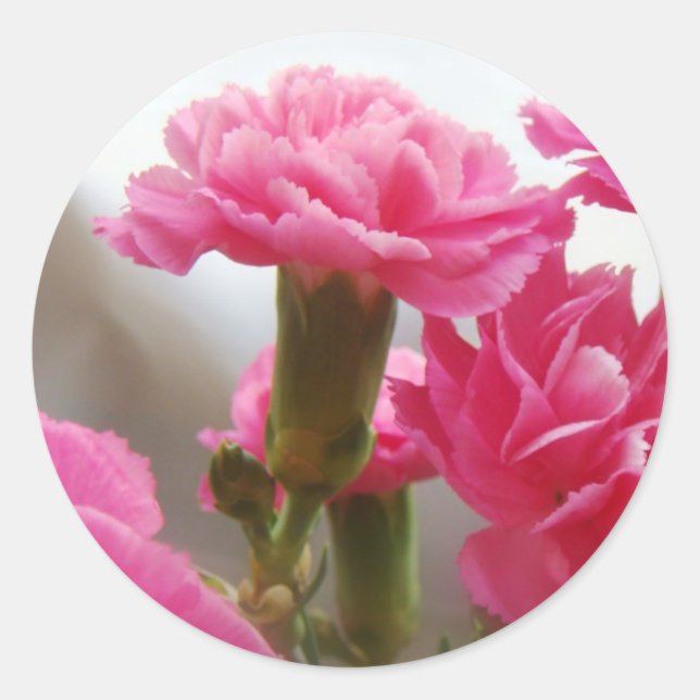 Sticker Rond Bonne fête des mères - Carnation (Devant)
