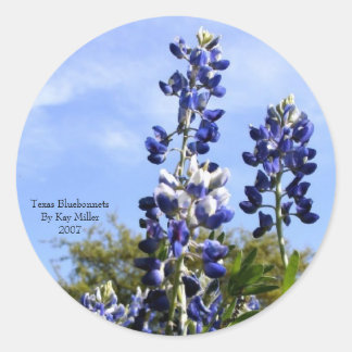 Sticker Rond Bonnets bleus du Texas