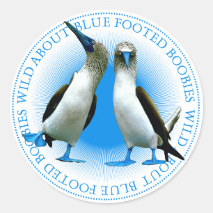 Sticker Rond Boobies aux pieds bleus