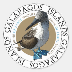Sticker Rond Booby à pied bleu Galapagos Îles Souvenir