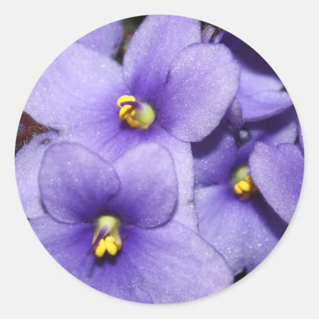 Sticker Rond Boquet violet (Devant)