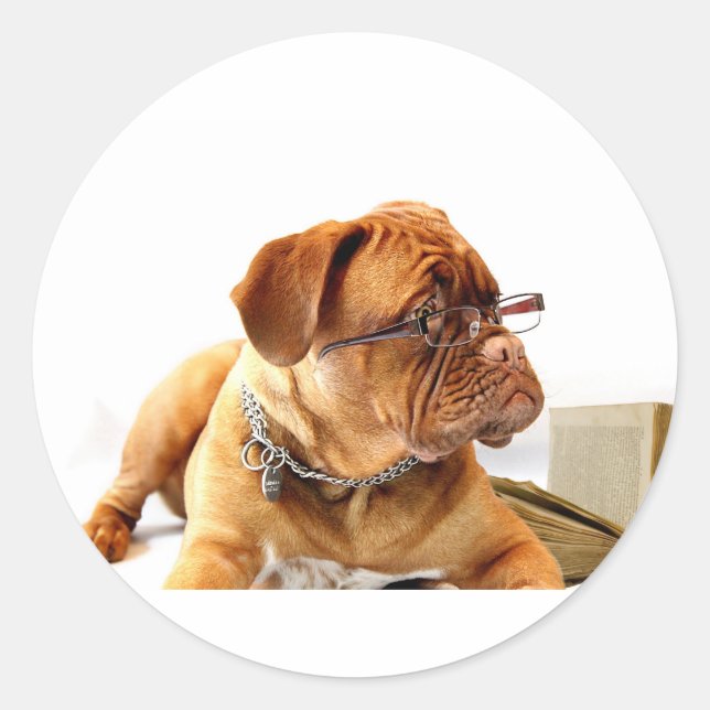 Sticker Rond Bordeaux Mastiff, poison de French Mastiff Bordeau (Devant)