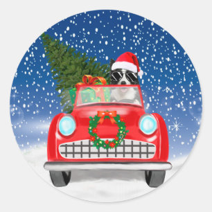Sticker Rond Border Collie  Chien Conduisant une Voiture Dans l