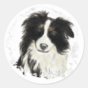 Sticker Rond Border collie fait sur commande - collection de