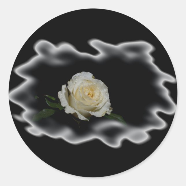 Sticker Rond Bords brûlés à la rose blanche (Devant)