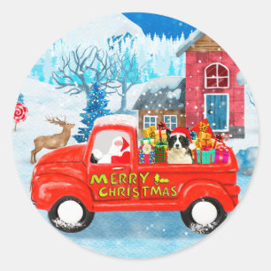 Sticker Rond Bordure Collie Chien dans la livraison de Noël Cam