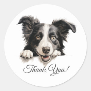 Sticker Rond Bordure Collie Chien Merci
