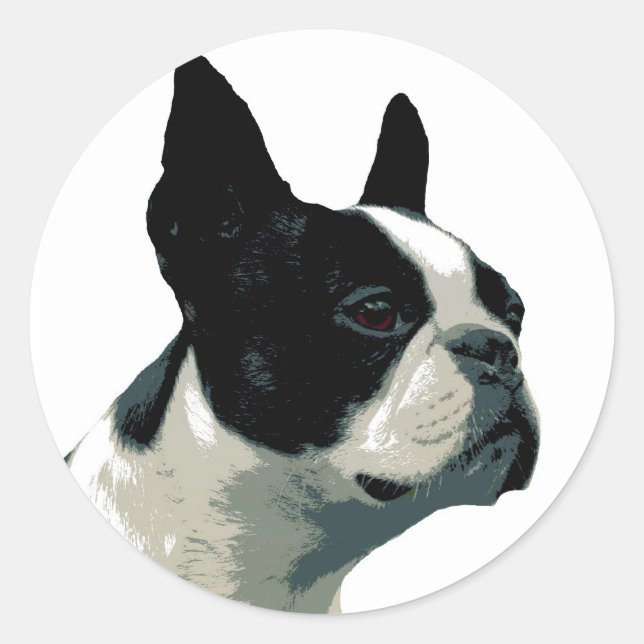 Sticker Rond Boston Terrier (Devant)