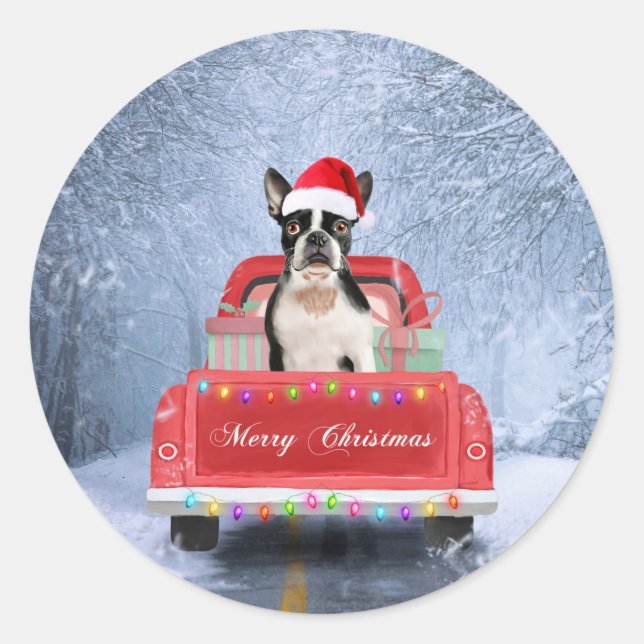 Sticker Rond Boston Terrier Dog Neige assis sur le camion de No (Devant)