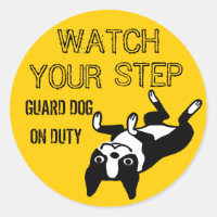 Boston Terrier Regardez Votre Pas : Gardez Le Chie