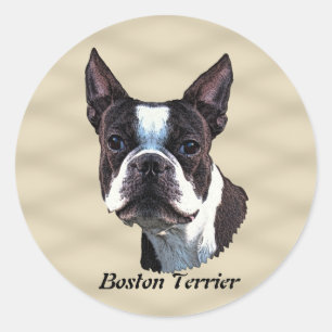 Sticker Rond Boston Terrier v3