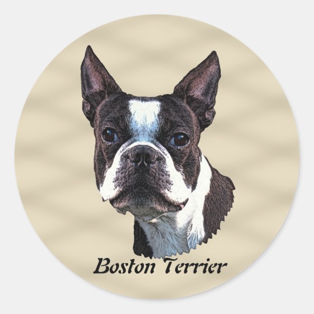 Sticker Rond Boston Terrier v3 (Devant)