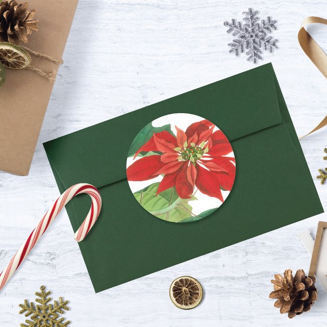 Sticker Rond Botanique de Poinsettia vintage (Créateur téléchargé)