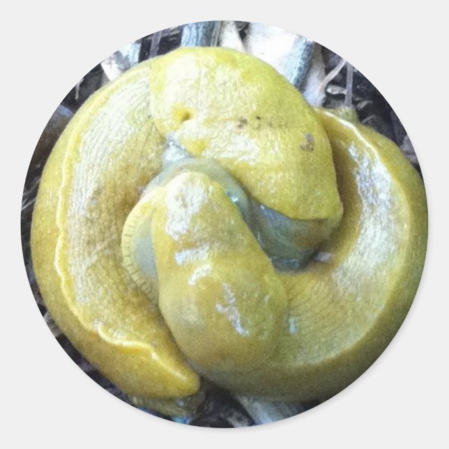 Sticker Rond boue de banane embrassante (Devant)