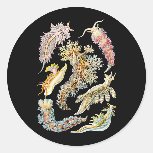 Sticker Rond Boues de mer (Devant)