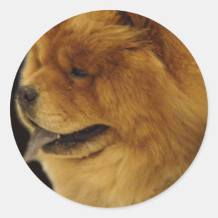 Sticker Rond Bouffe de bouffe