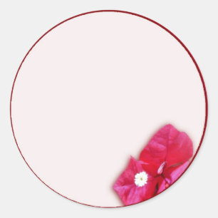 Sticker Rond Bougainvilliers en fleurs