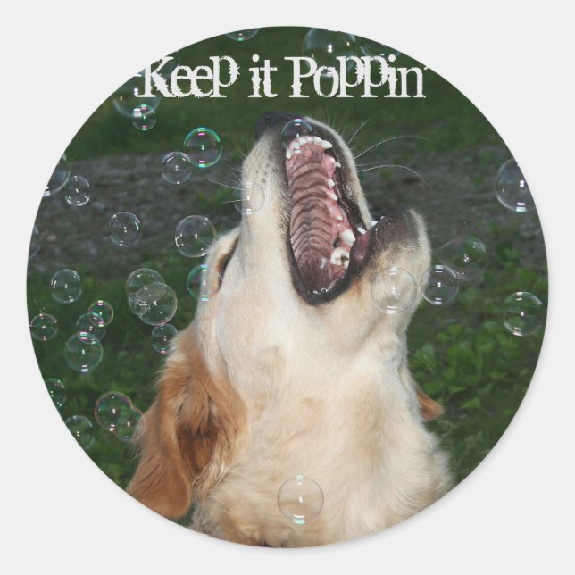 Sticker Rond Boule d'or Retriever (Devant)