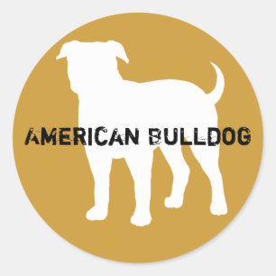 Sticker Rond Bouledogue Américain