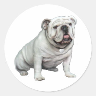 Sticker Rond Bouledogue anglais - Blanc 1