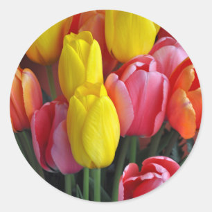 Sticker Rond Bouquet coloré de tulipes de printemps