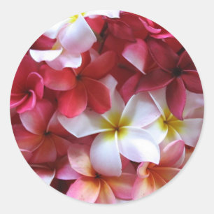 Sticker Rond Bouquet de grappe de fleurs Plumeria