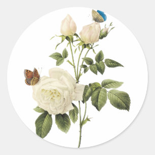 Sticker Rond Bouquet des roses blancs avec l'autocollant de