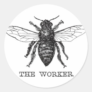 Sticker Rond Bourdon noir ouvrier abeille miel