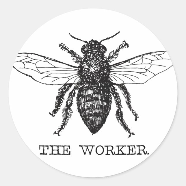 Sticker Rond Bourdon noir ouvrier abeille miel (Devant)