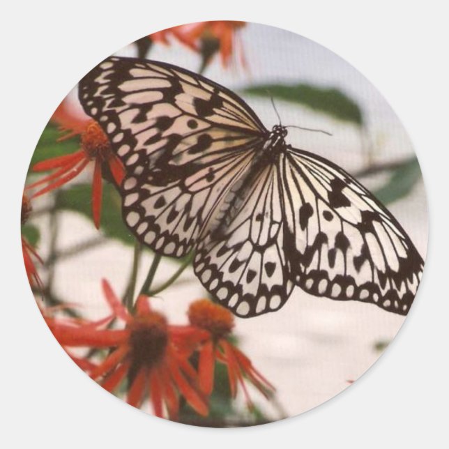 STICKER ROND BOUTEILLE NOIRE ET BLANCHE AVEC FLEURS ORANGES (Devant)