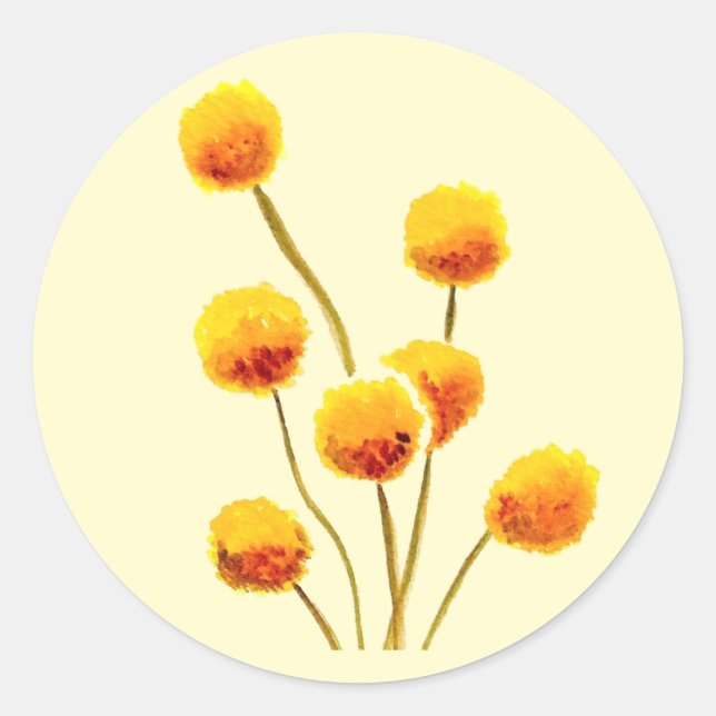 Sticker Rond Bouton Billy jaune fleur australienne originaire (Devant)
