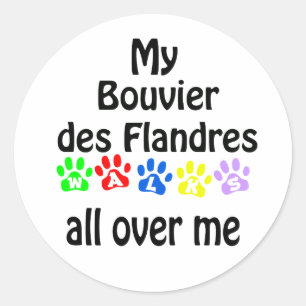 Sticker Rond Bouvier des Flandres Walks Design