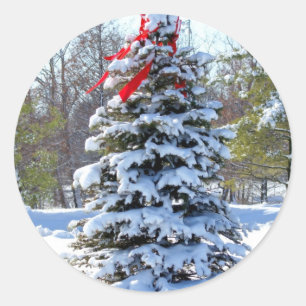 Sticker Rond Bow rouge À feuillage persistant