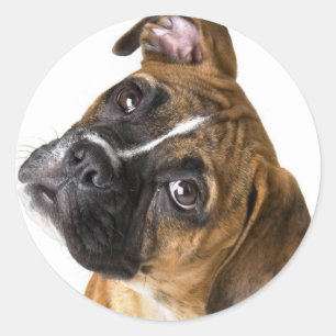 Sticker Rond Boxer Love