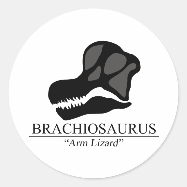 Sticker Rond Brachiosaurus (Devant)