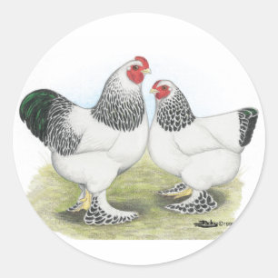 Sticker Rond Brahma :  Light2