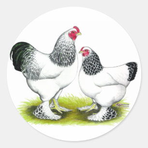 Sticker Rond Brahma : Lumière