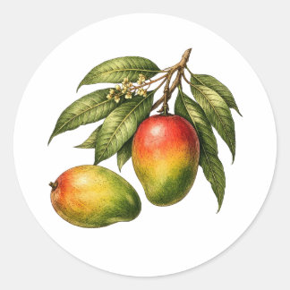 Sticker Rond Branche de fruit de mangue de style vintage