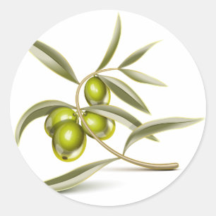 Sticker Rond Branche des olives vertes