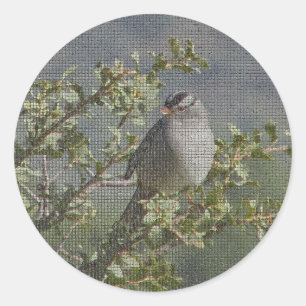 Sticker Rond Branche du Bruant Oiseau sauvage Photo Mosaïque Oi