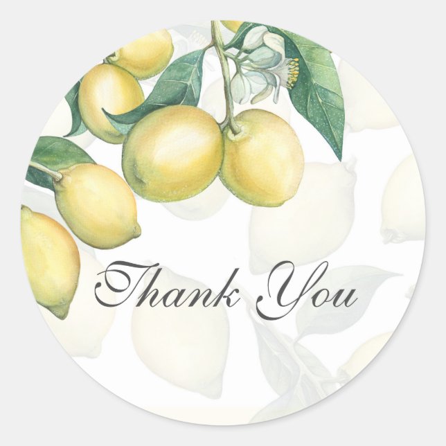 Sticker Rond Branches de citron blanc et jaune Favori rustique  (Devant)