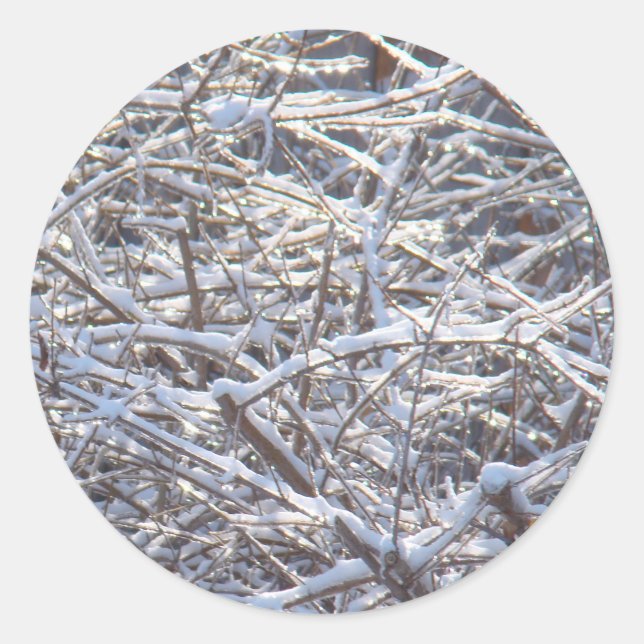 Sticker Rond Branches de glace neige en hiver (Devant)