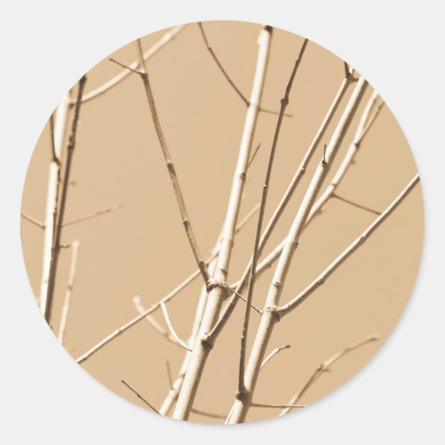 Sticker Rond branches vides (Devant)