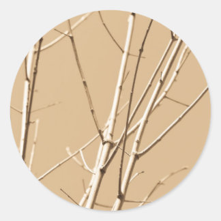 Sticker Rond branches vides