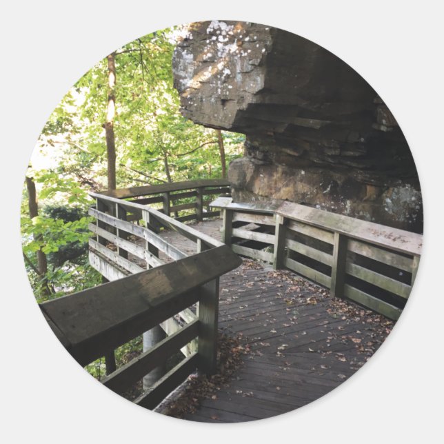 Sticker Rond brandywine tombe sur un chemin en bois (Devant)