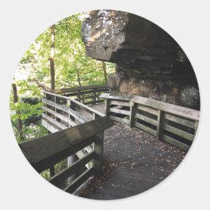 Sticker Rond brandywine tombe sur un chemin en bois