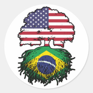 Sticker Rond Brésil Brésil Amérique États-Unis drapeau des raci